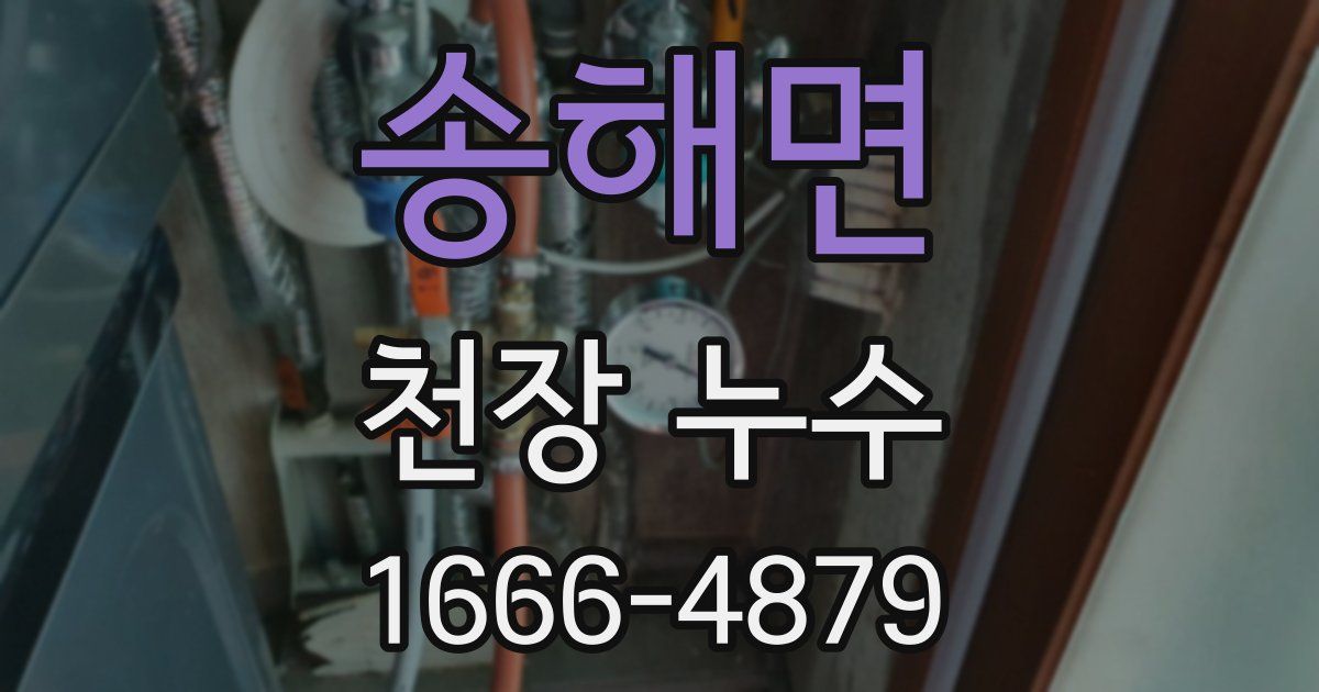 송해면 천장 누수