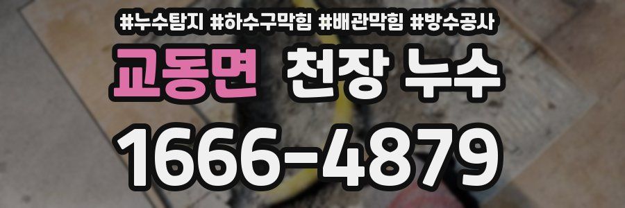 교동면 천장 누수