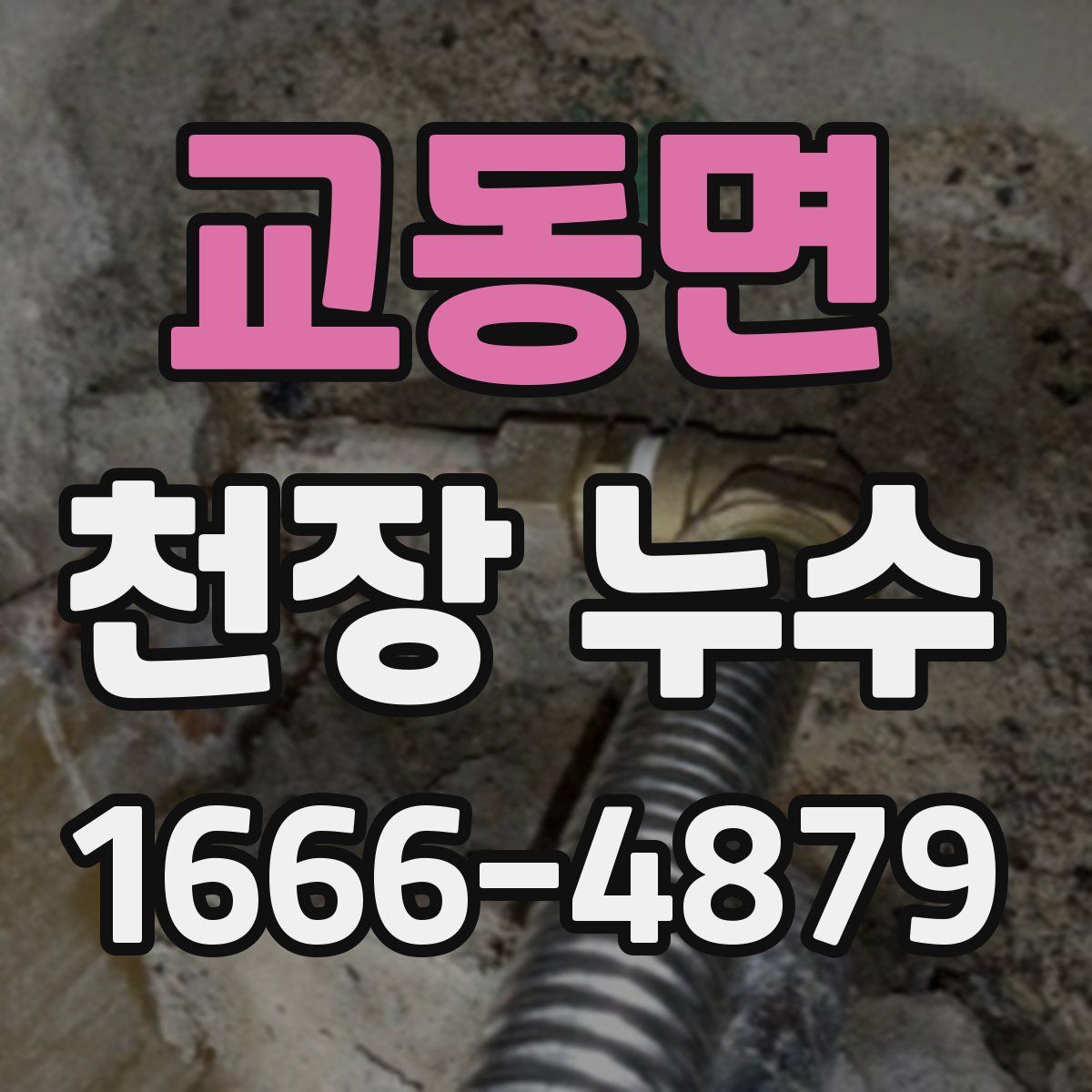 교동면 천장 누수