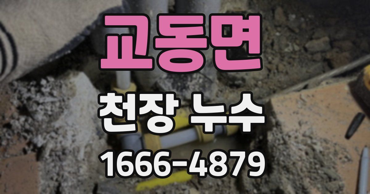 교동면 천장 누수