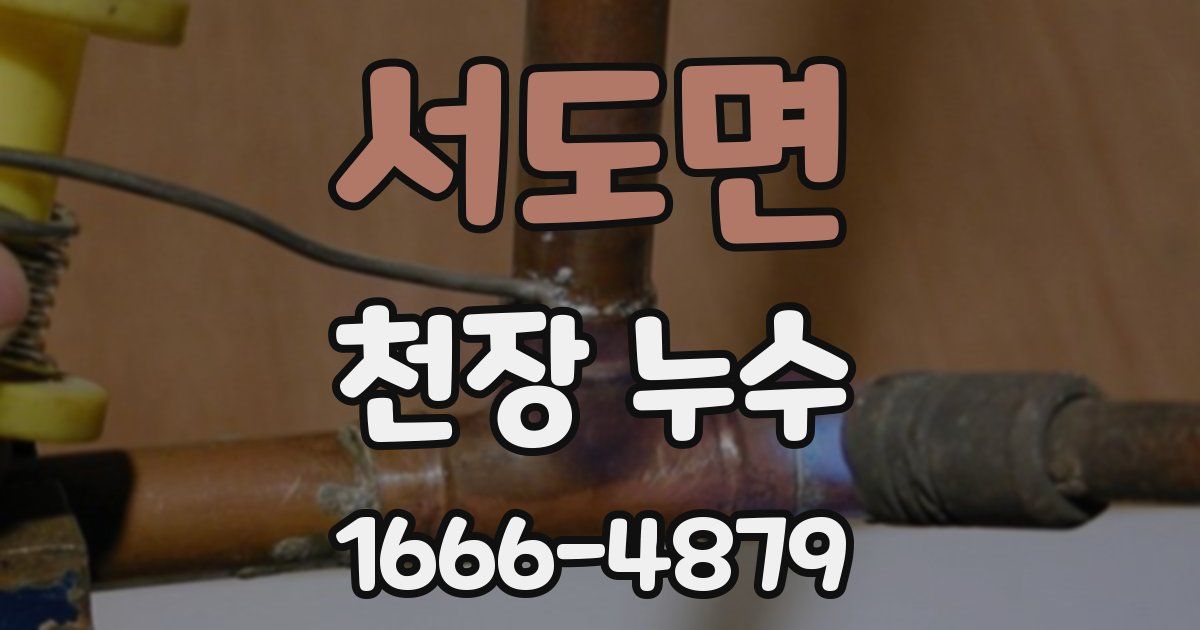서도면 천장 누수