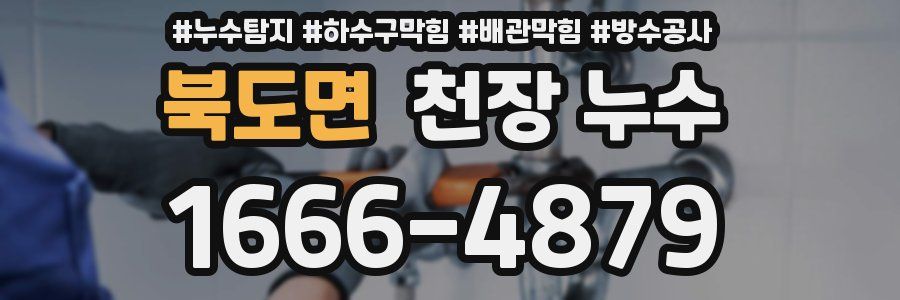 북도면 천장 누수