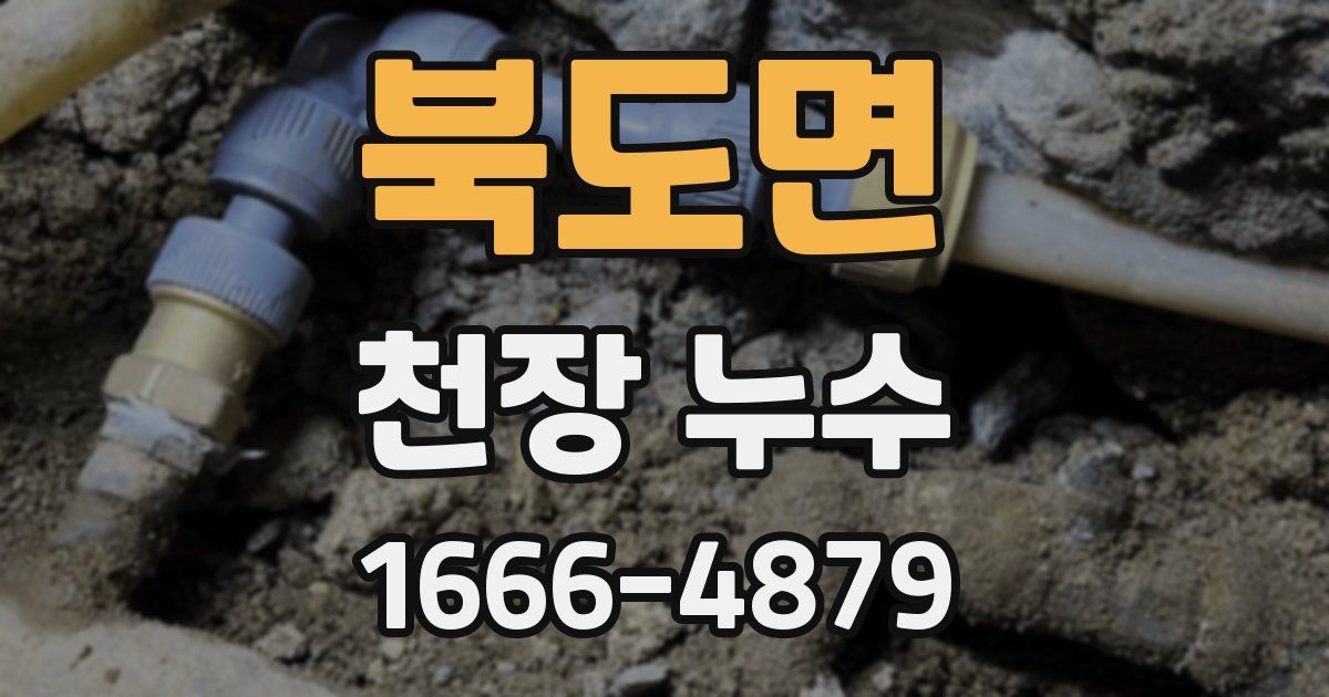 북도면 천장 누수