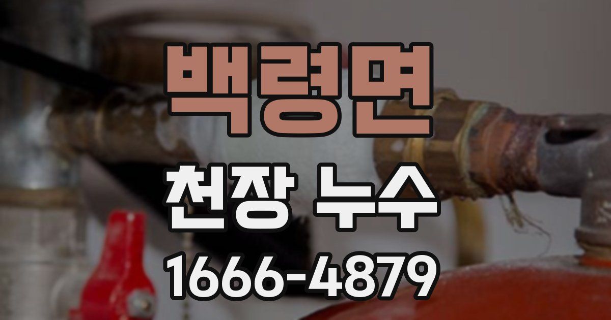 백령면 천장 누수