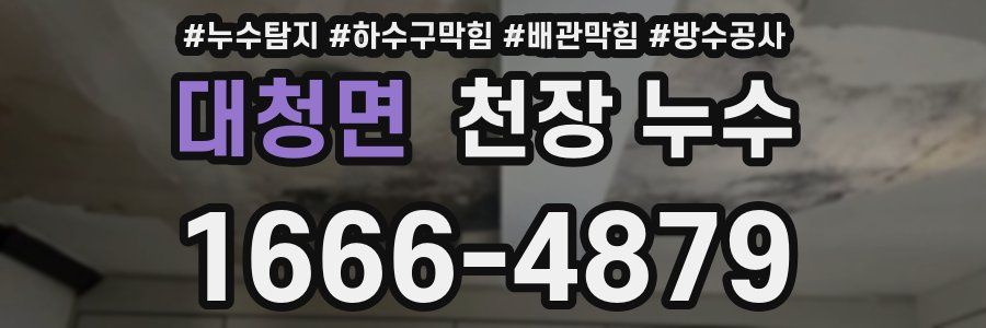 대청면 천장 누수