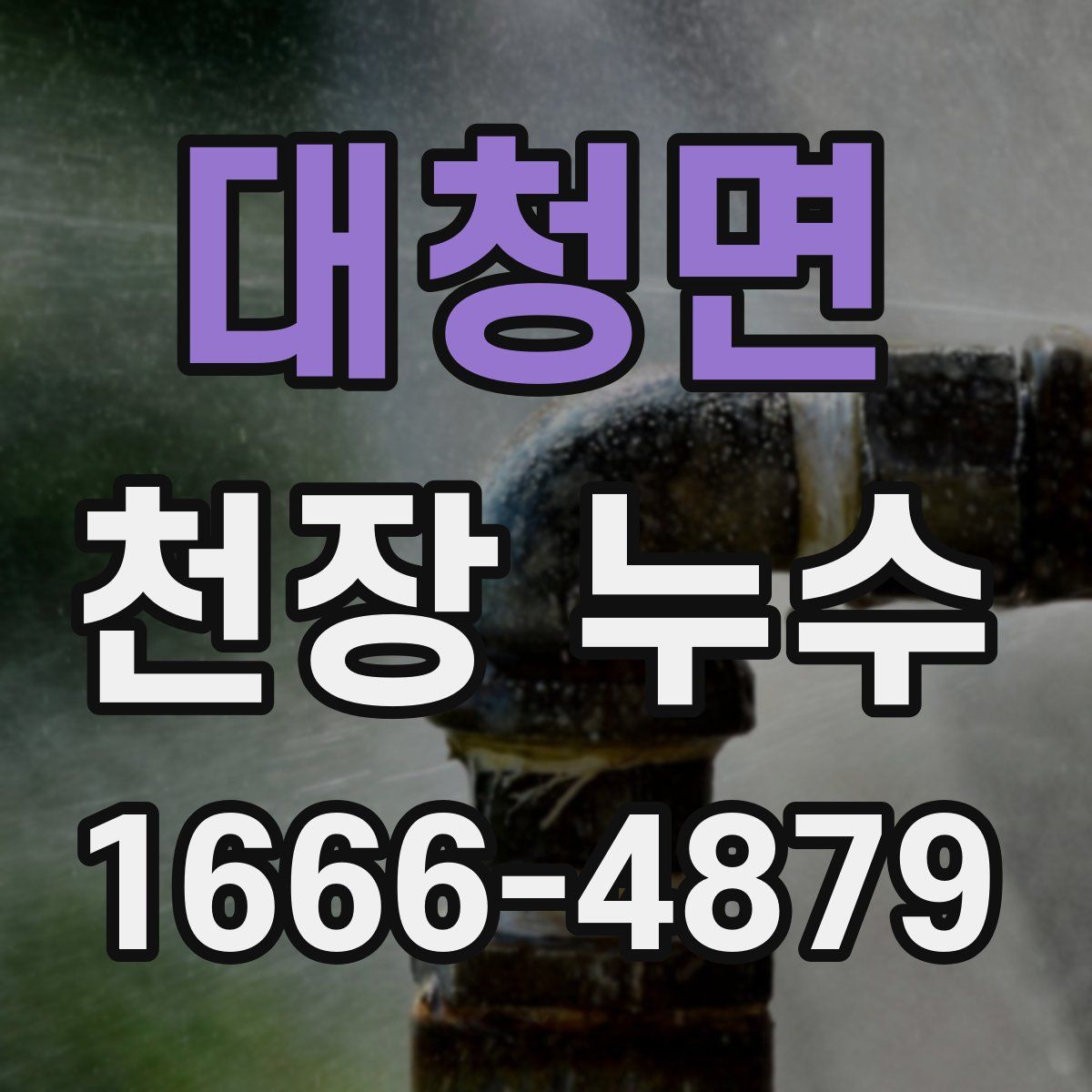 대청면 천장 누수