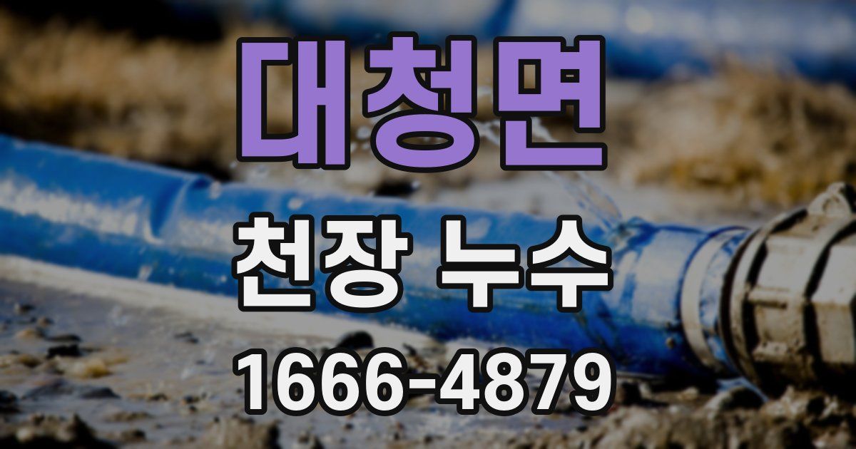 대청면 천장 누수