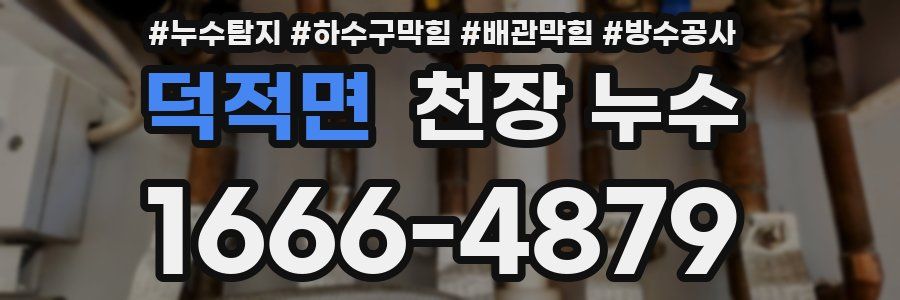 덕적면 천장 누수