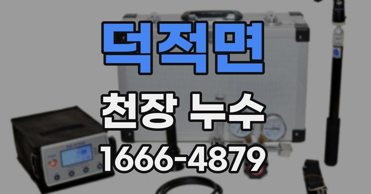 덕적면 천장 누수