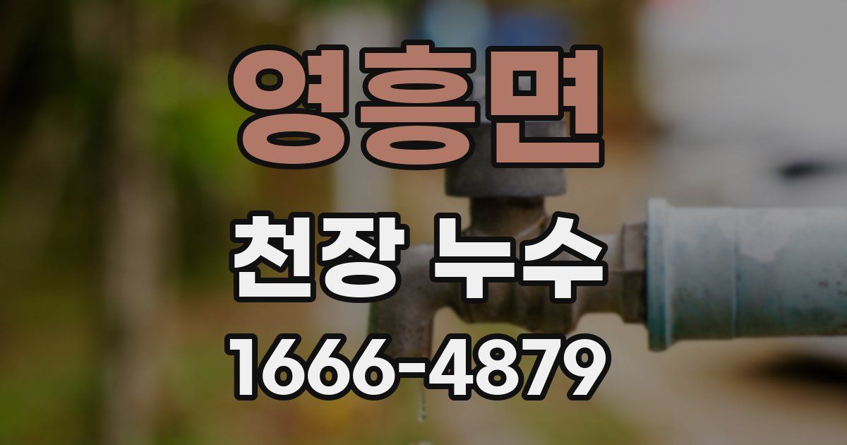 영흥면 천장 누수
