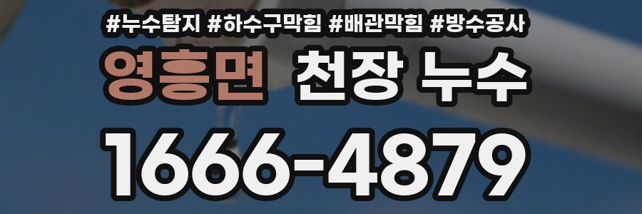 영흥면 천장 누수