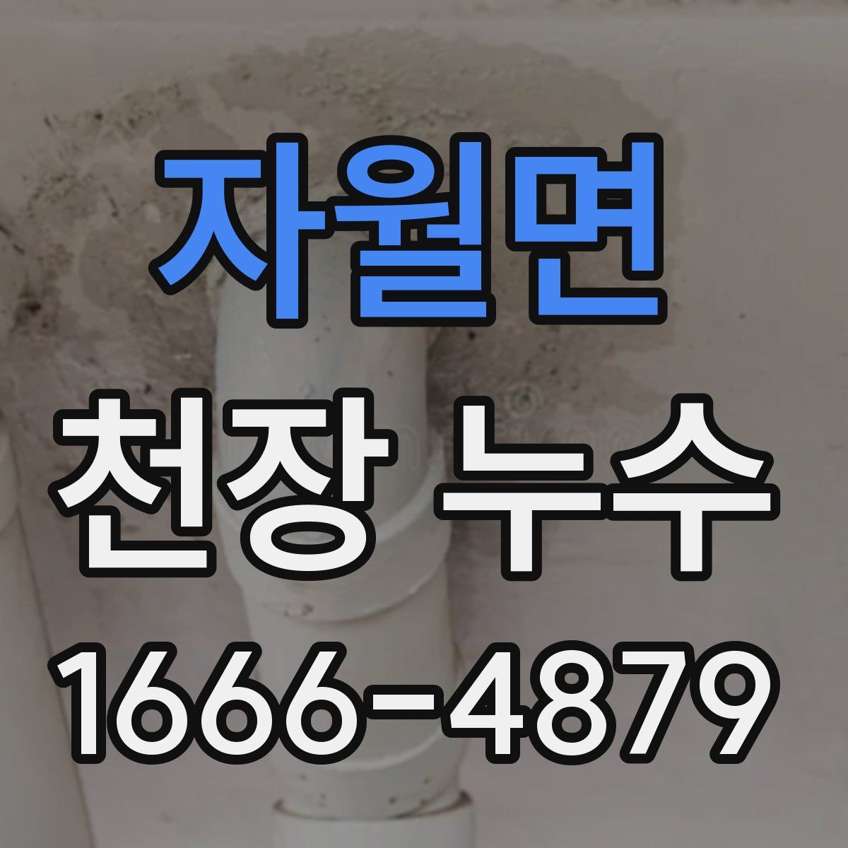 자월면 천장 누수