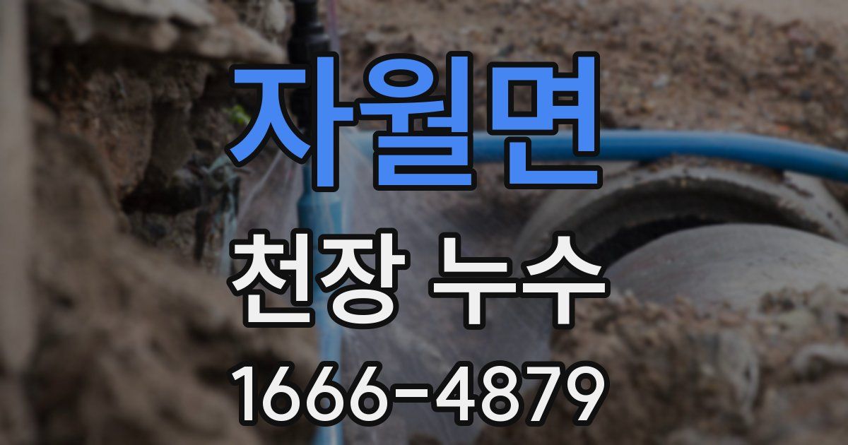 자월면 천장 누수