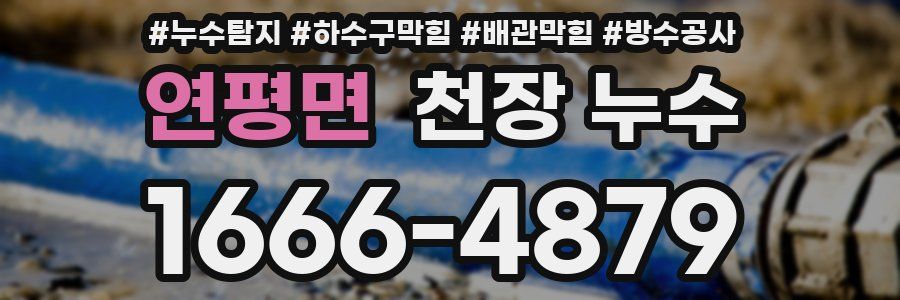 연평면 천장 누수