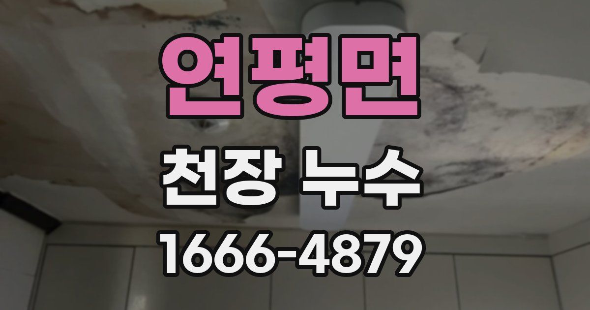 연평면 천장 누수