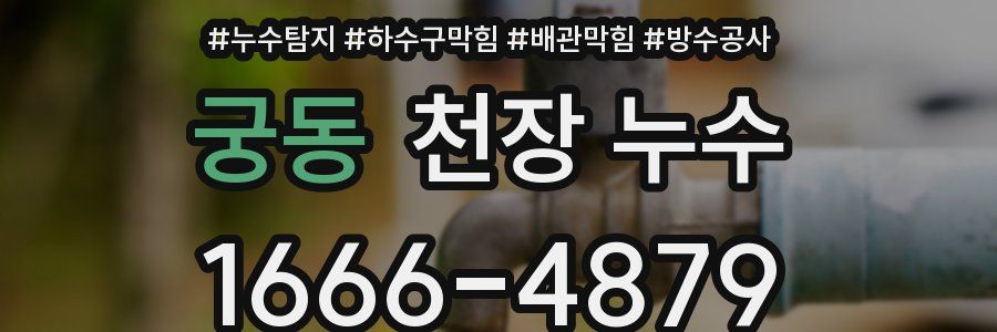 궁동 천장 누수
