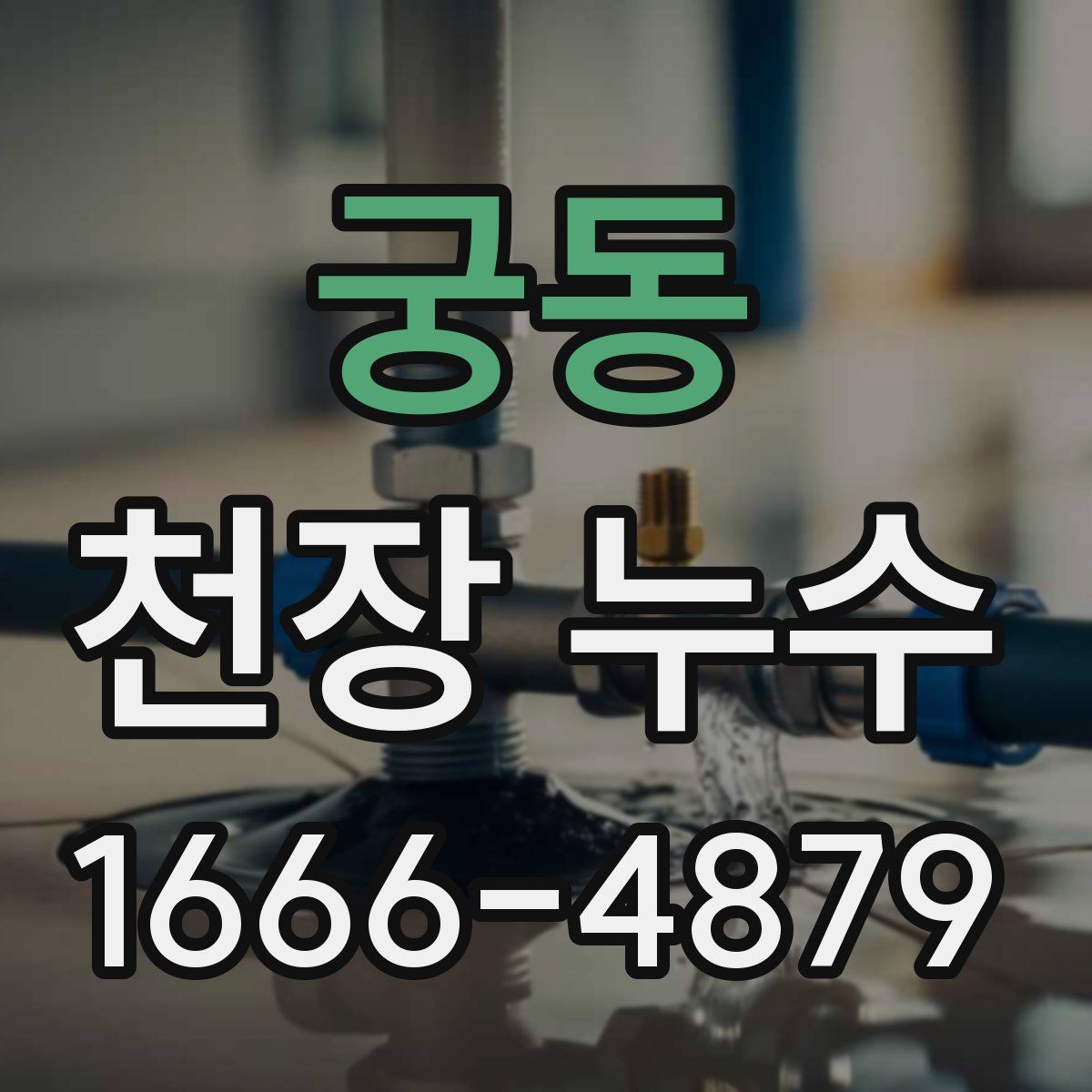 궁동 천장 누수