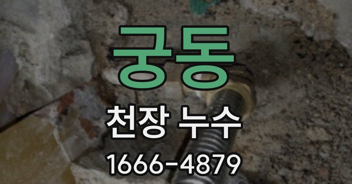 궁동 천장 누수