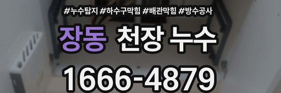 장동 천장 누수