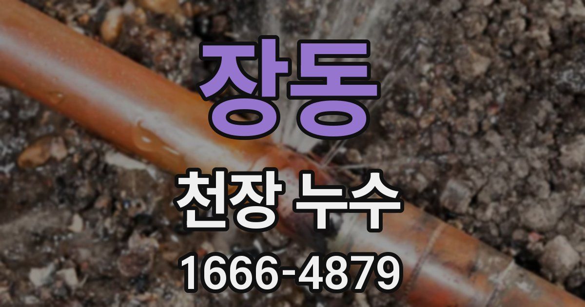 장동 천장 누수