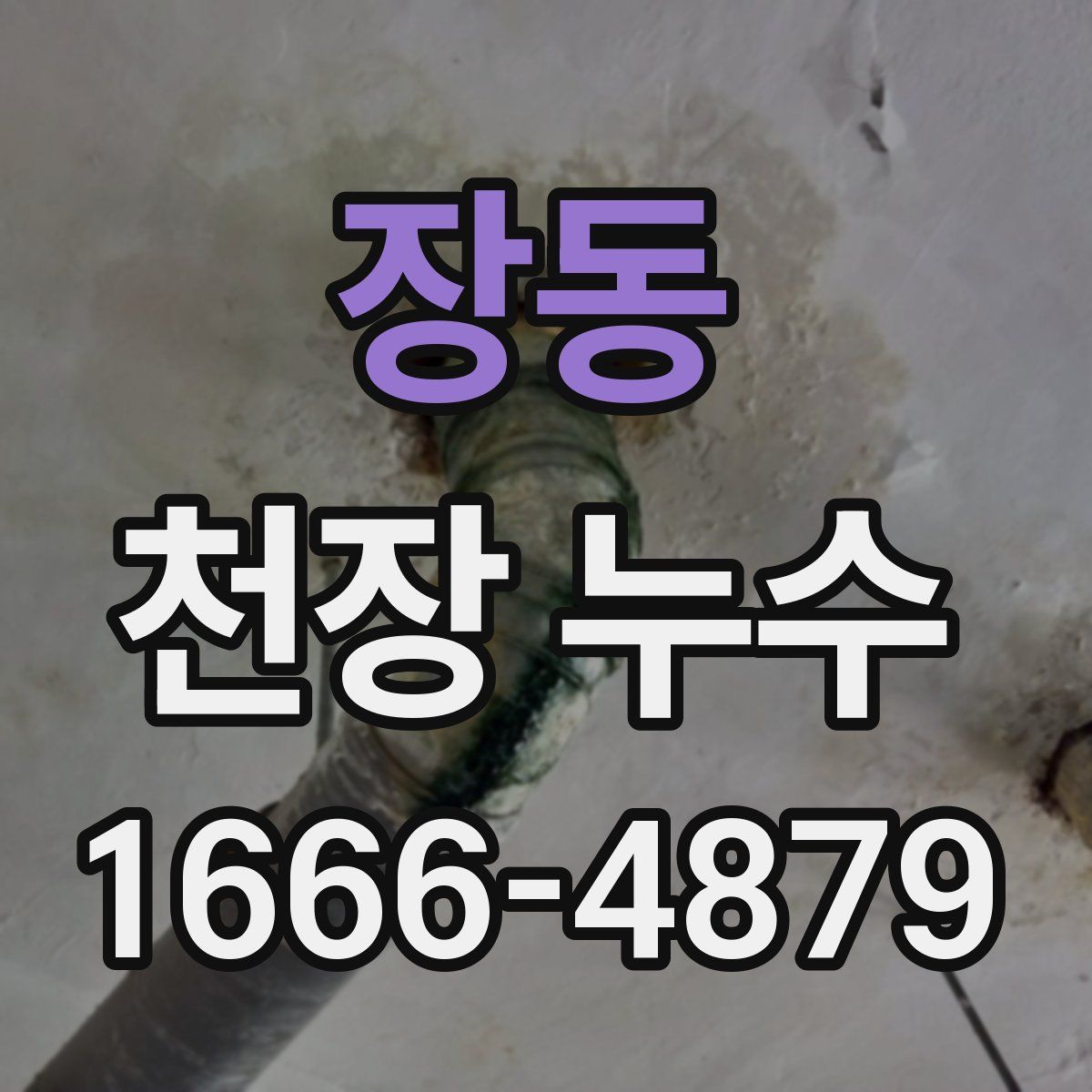 장동 천장 누수