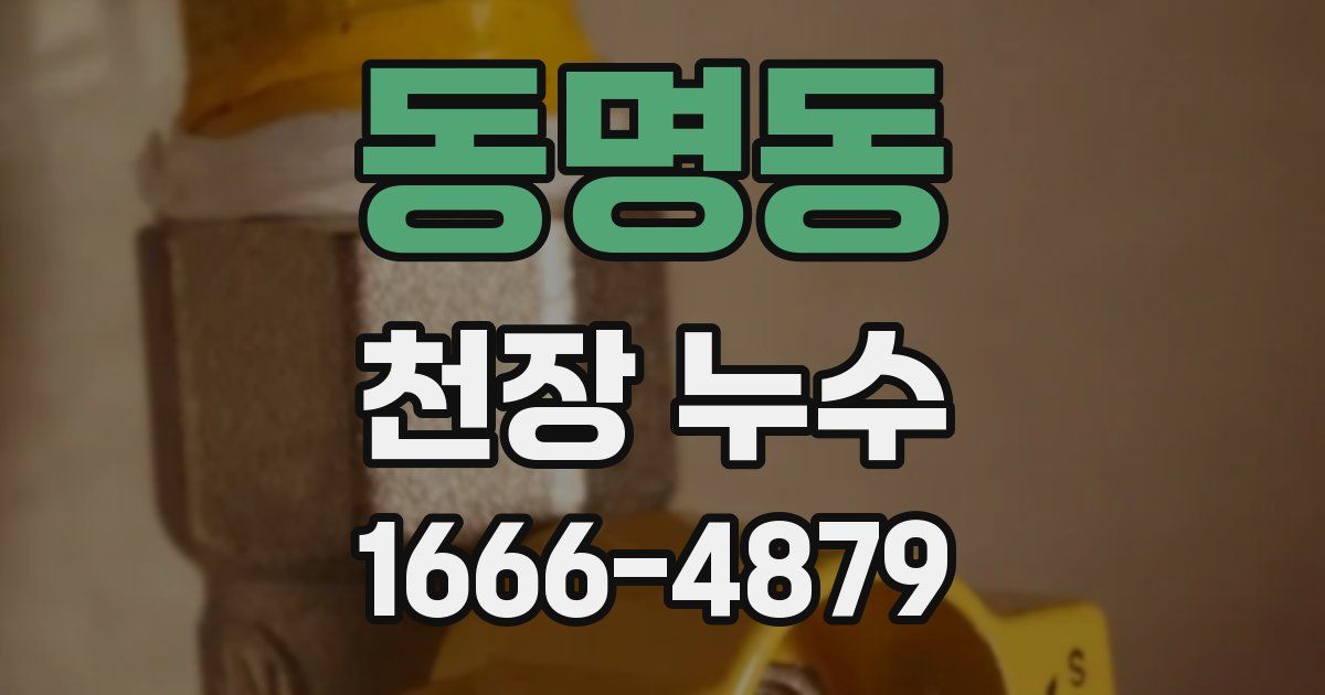동명동 천장 누수
