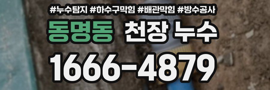 동명동 천장 누수
