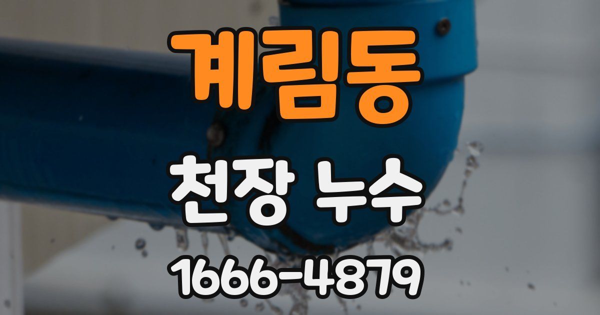 계림동 천장 누수