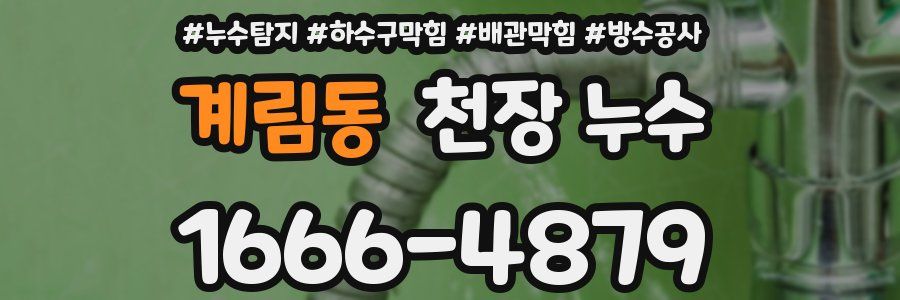 계림동 천장 누수