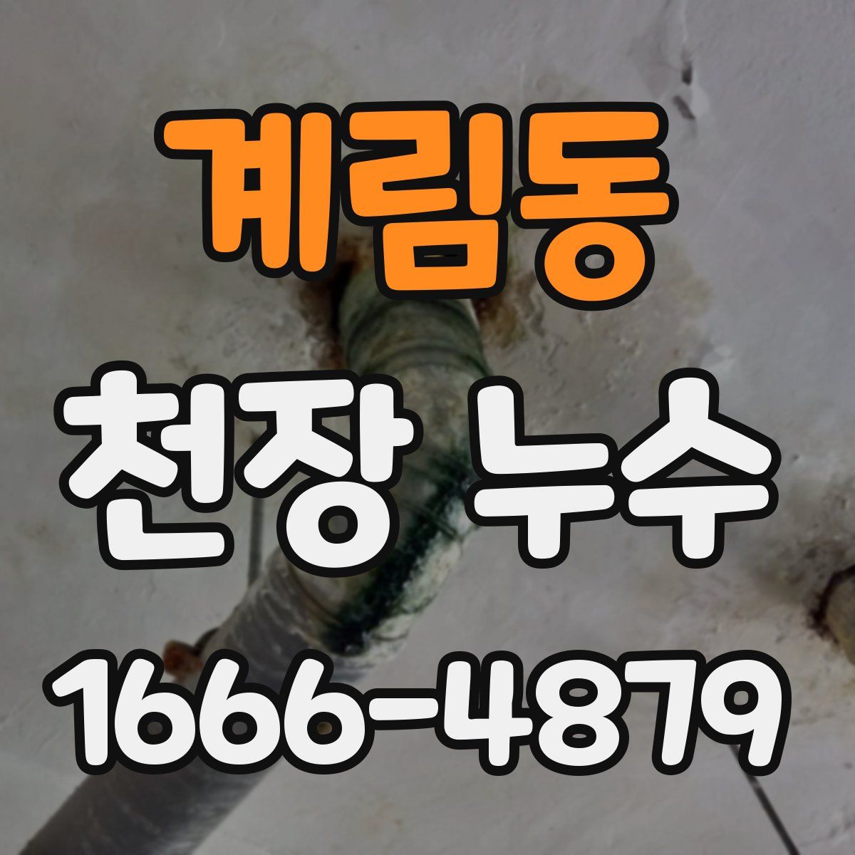 계림동 천장 누수