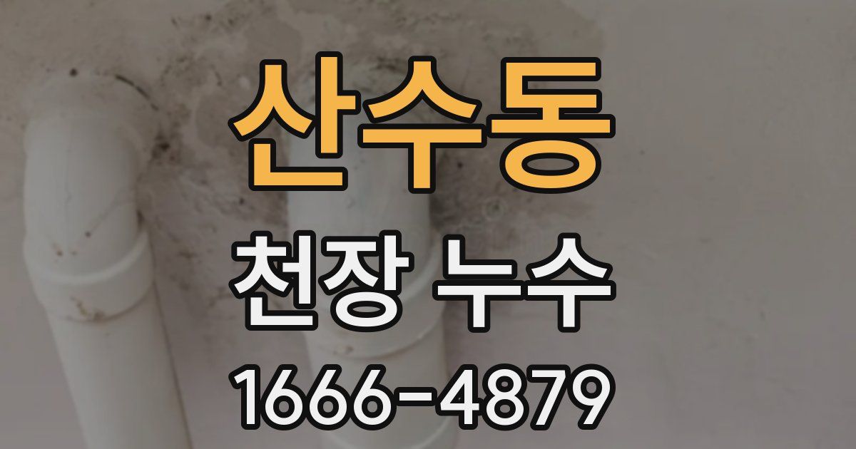산수동 천장 누수