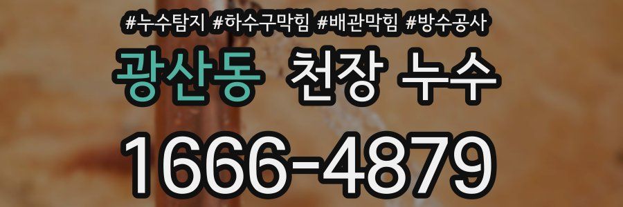 광산동 천장 누수