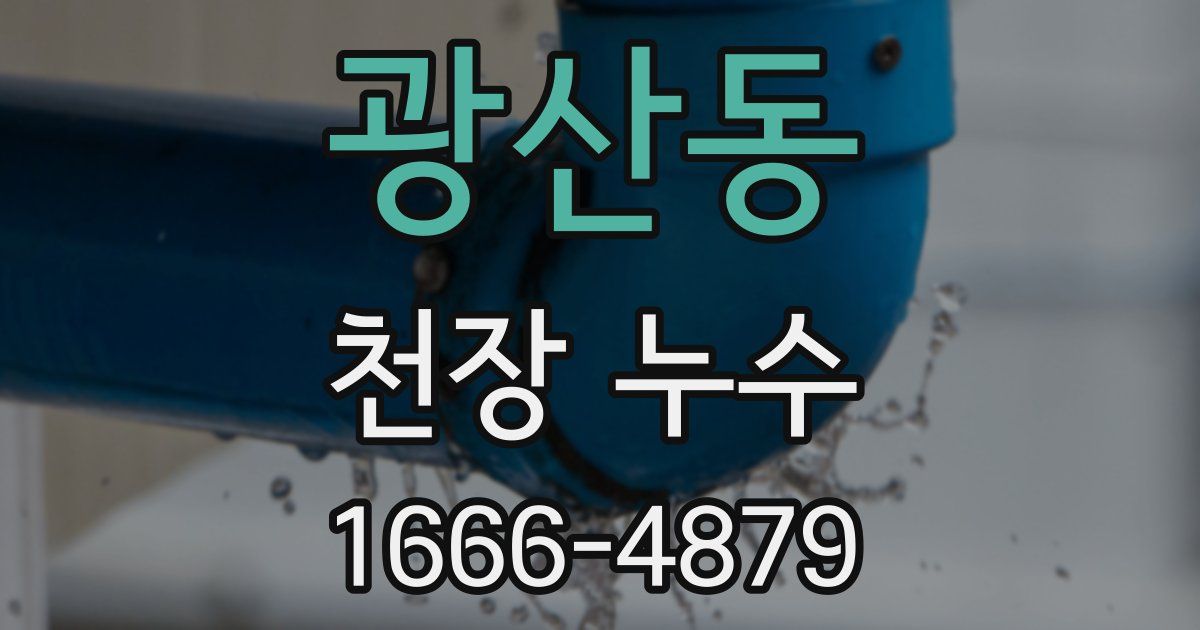 광산동 천장 누수