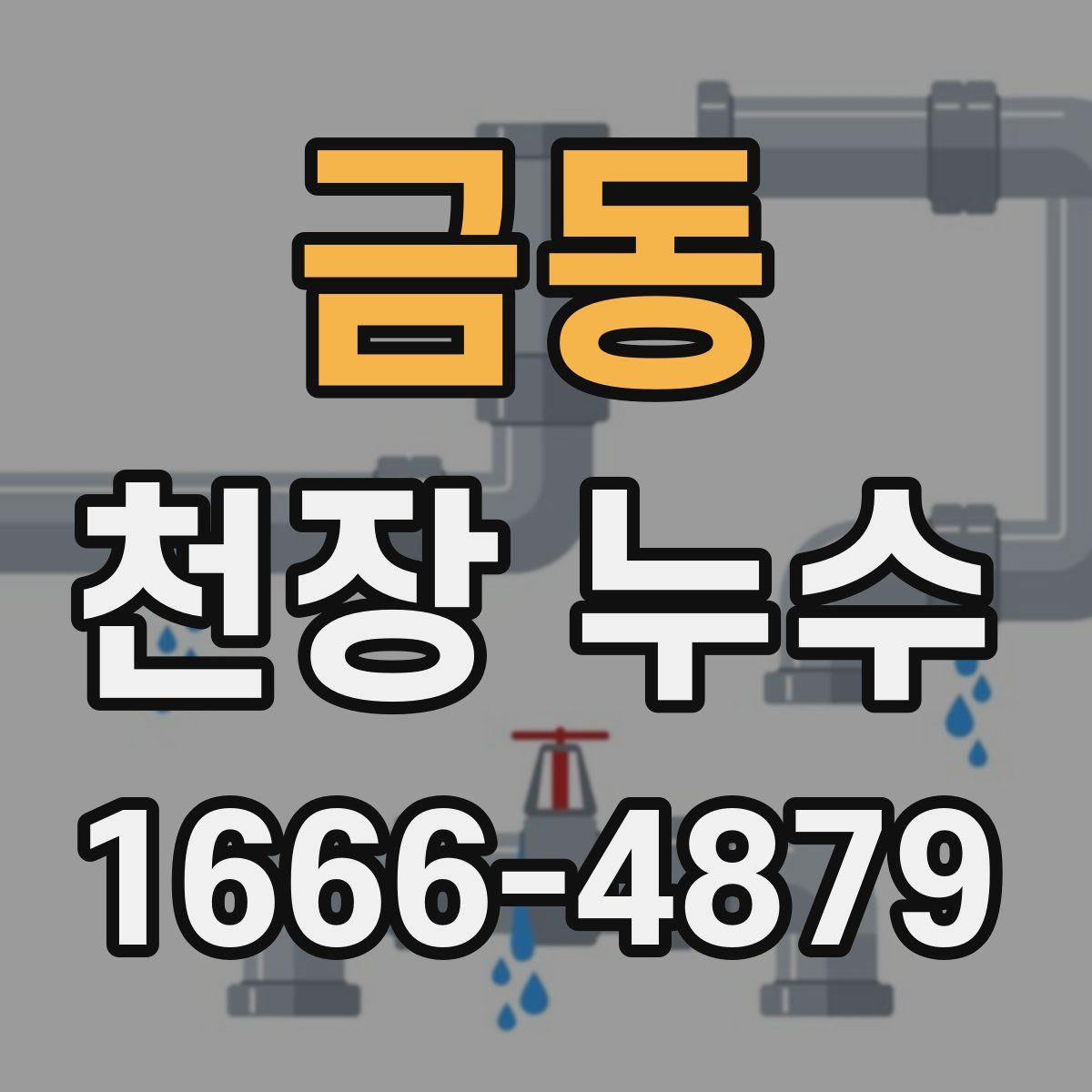금동 천장 누수