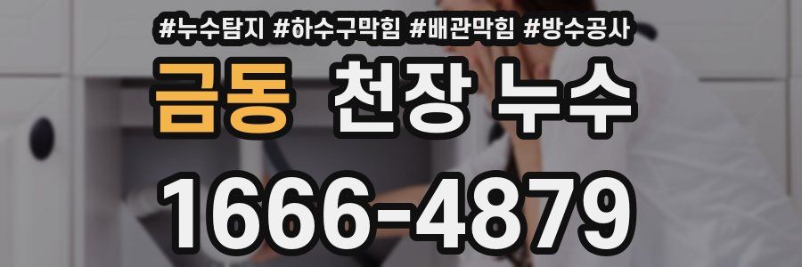 금동 천장 누수