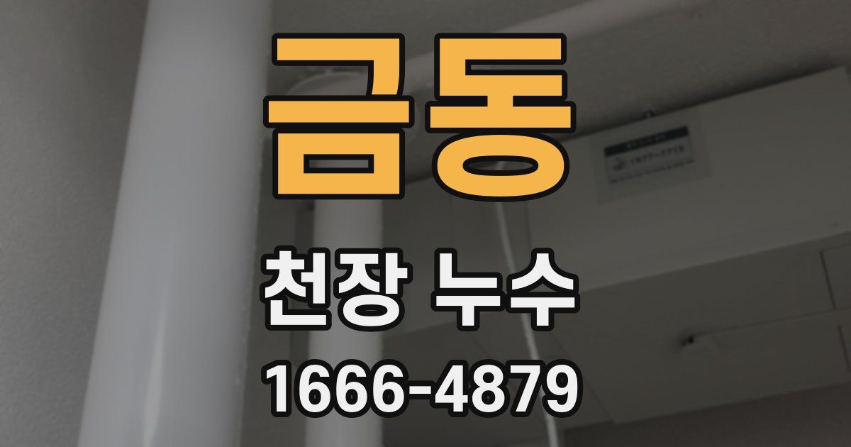금동 천장 누수