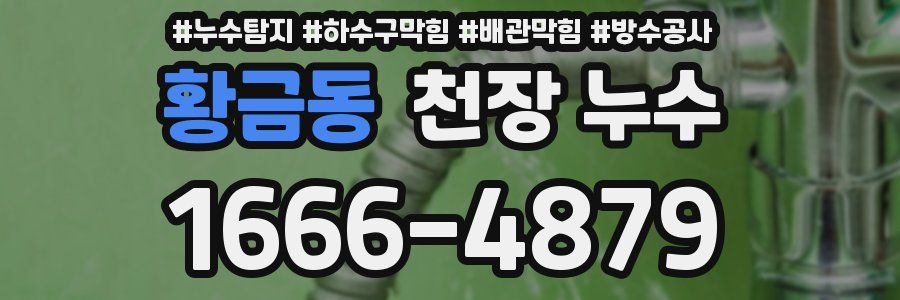 황금동 천장 누수