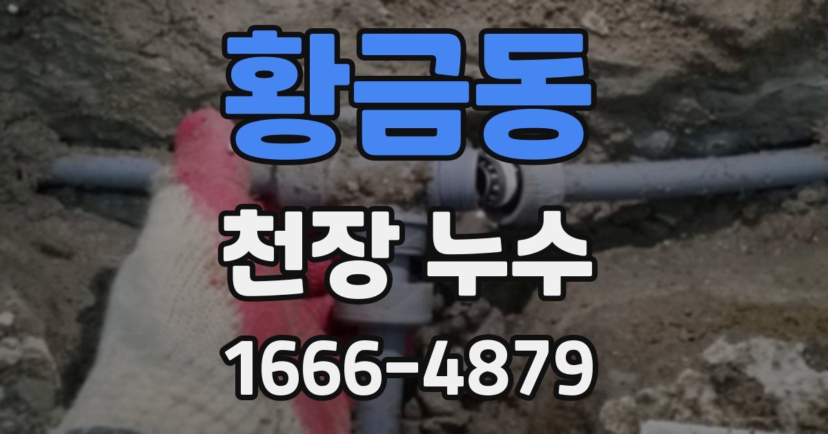 황금동 천장 누수