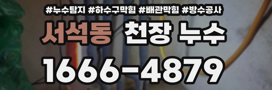 서석동 천장 누수