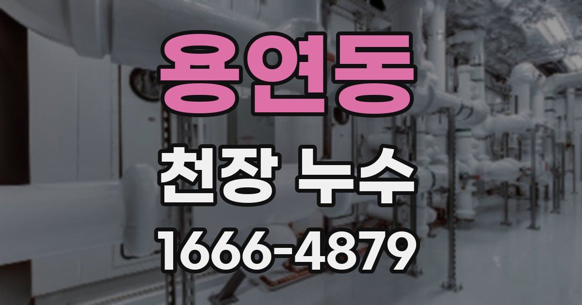 용연동 천장 누수