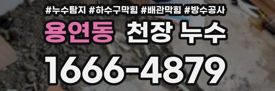 용연동 천장 누수