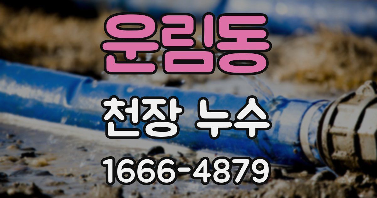 운림동 천장 누수