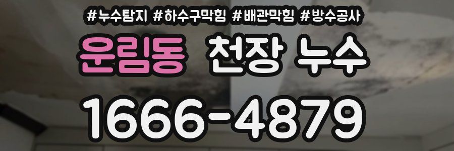 운림동 천장 누수