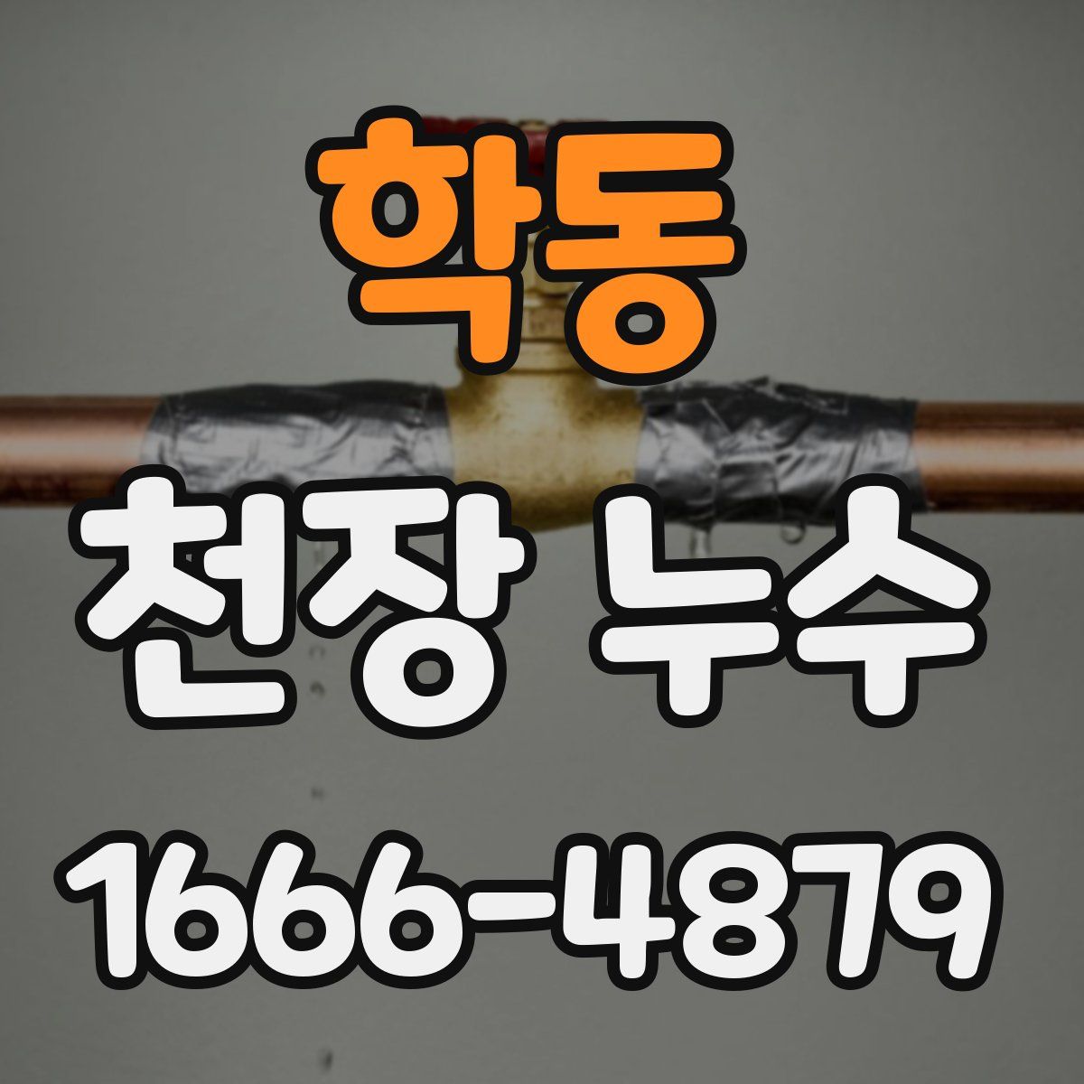 학동 천장 누수