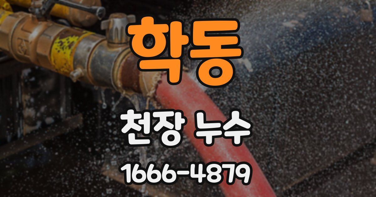 학동 천장 누수