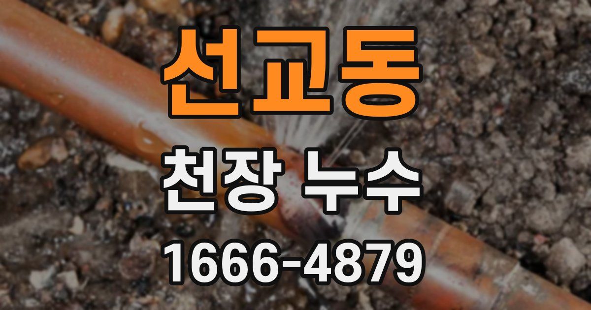 선교동 천장 누수