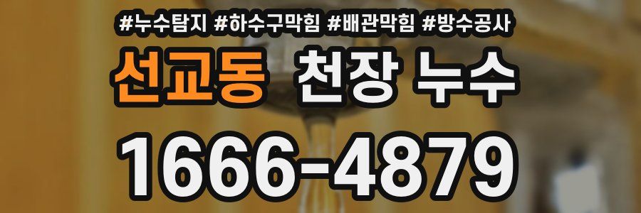 선교동 천장 누수