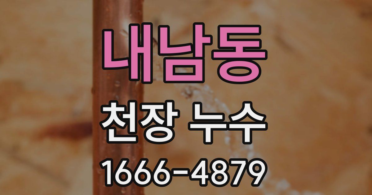 내남동 천장 누수