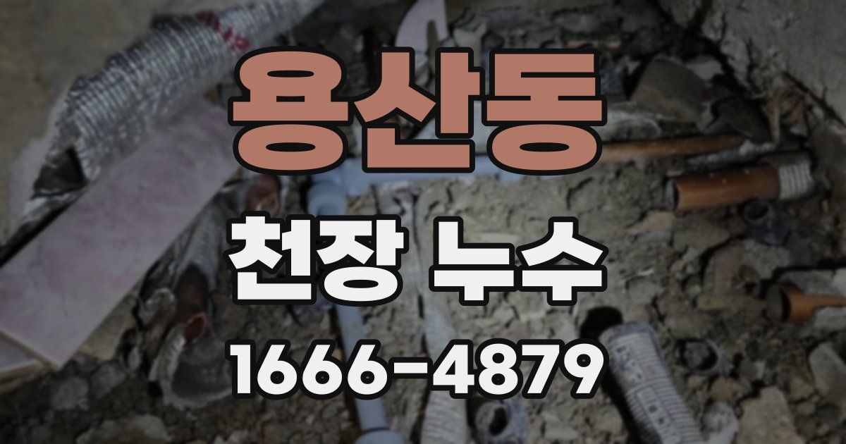 용산동 천장 누수