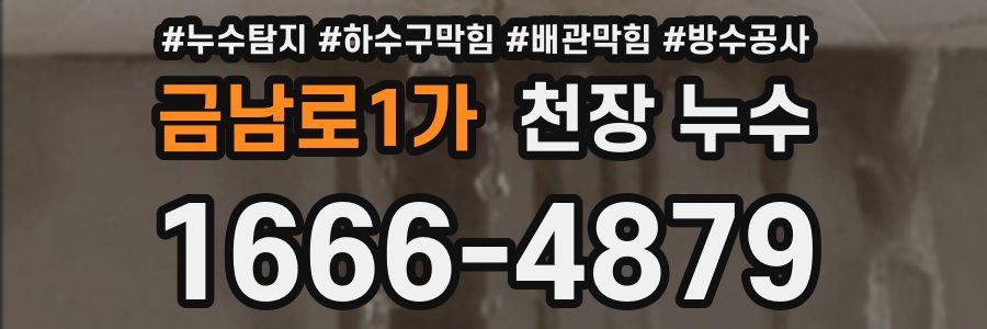 금남로1가 천장 누수